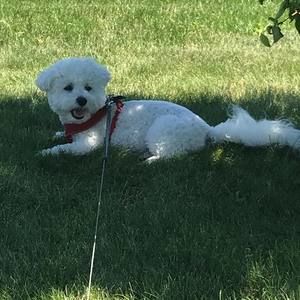 Meet your Posher, Sharie